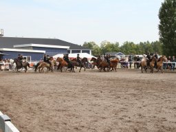 IMG_1299_web